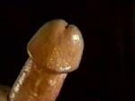 wrapyourlips