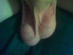 winkie