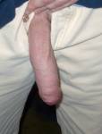 trouser trout