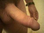 triflex