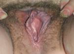 grt8pussy