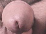 five_inches2000