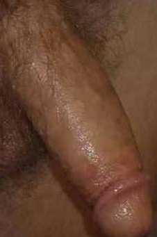 cockstermonster