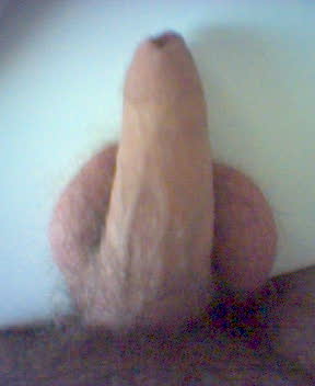 howzit