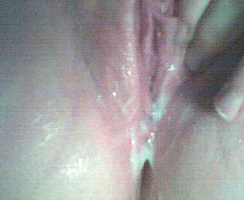 Rate Me