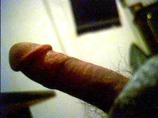 Rate Me