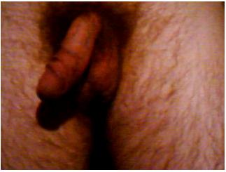 Rate Me
