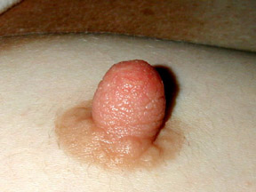 Rate Me