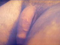 Rate Me