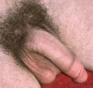 Rate Me